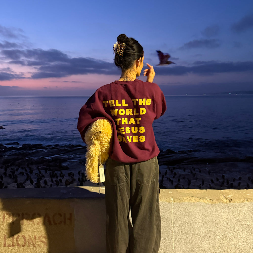 A woman stands with her back to the camera on a seaside wall at dusk, wearing a maroon sweatshirt with yellow text that reads 'TELL THE WORLD THAT JESUS SAVES' and dark gray pants. She is holding a fluffy yellow bag, with the ocean and a flying bird visible in the background.