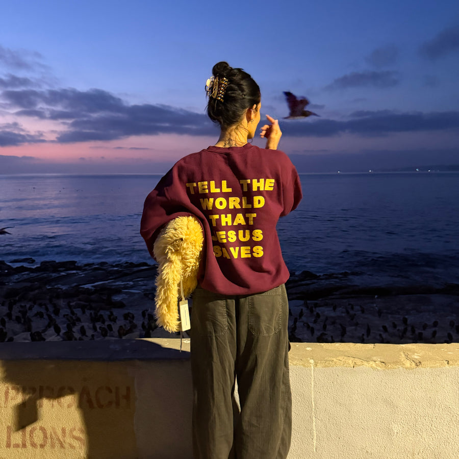 A woman stands with her back to the camera on a seaside wall at dusk, wearing a maroon sweatshirt with yellow text that reads 'TELL THE WORLD THAT JESUS SAVES' and dark gray pants. She is holding a fluffy yellow bag, with the ocean and a flying bird visible in the background.