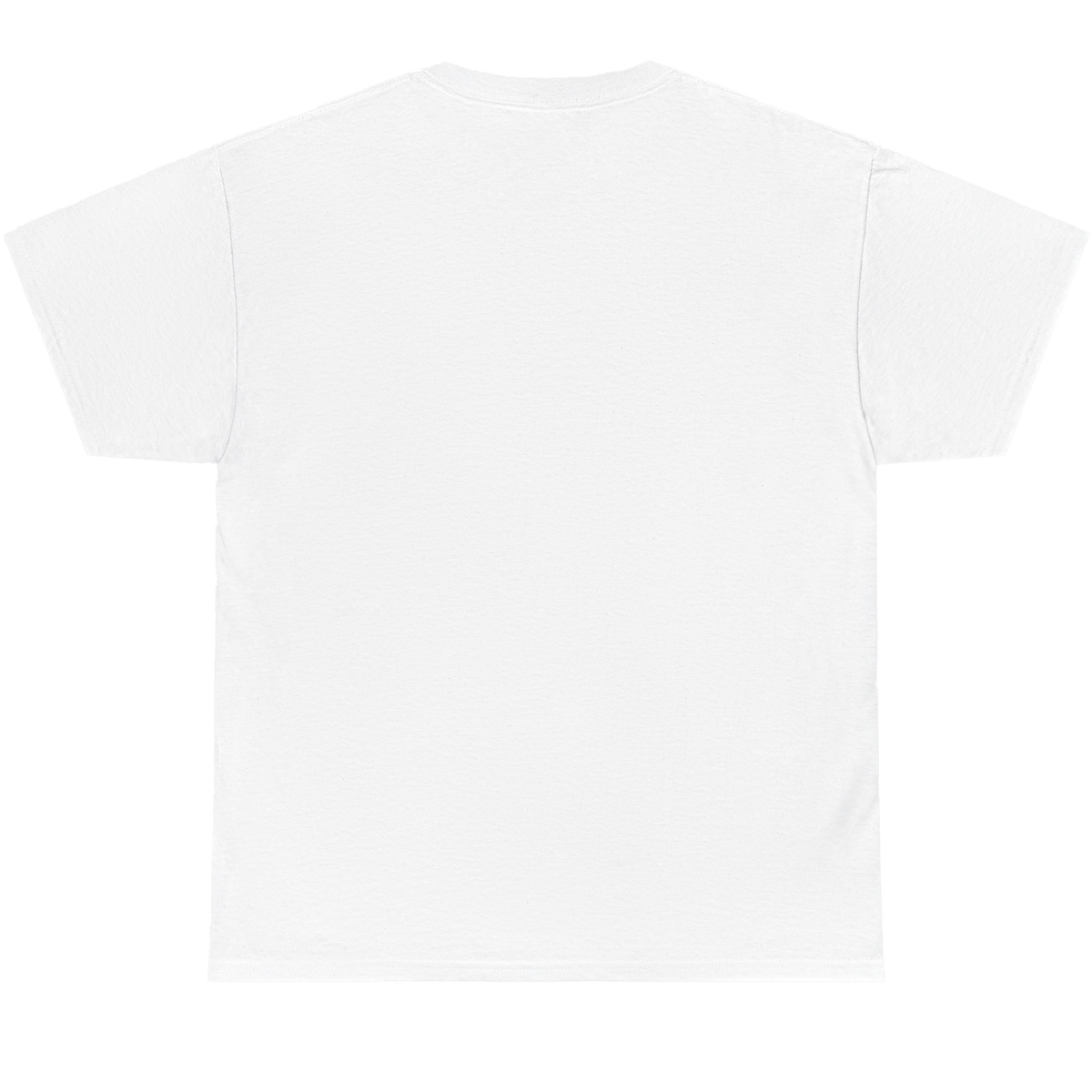 A plain white short-sleeve crewneck t-shirt shown from the back, laid flat against a solid white background.